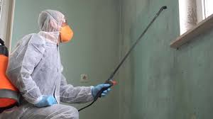 Maumee, OH Mold Removal & Remediation Company